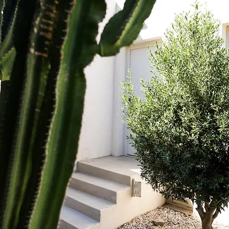 Wabi Luxury & Maisonettes Tatil Evi *